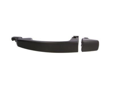 Exterior Door Handle BLIC 6010-04-048402P