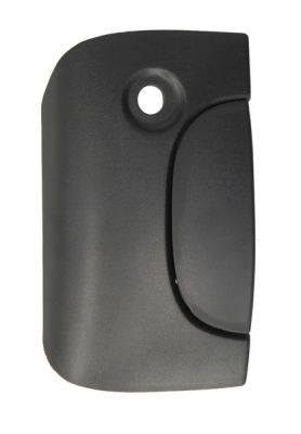 Exterior Door Handle BLIC 6010-09-029417P