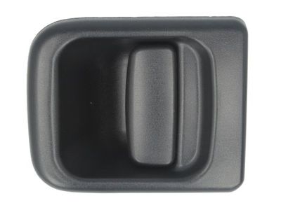 Exterior Door Handle BLIC 6010-09-032402P