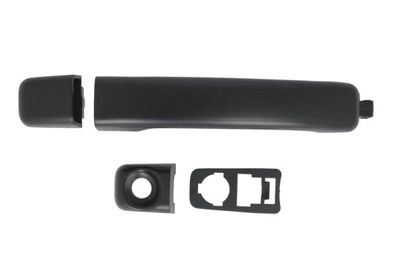 Exterior Door Handle BLIC 6010-09-1224401P