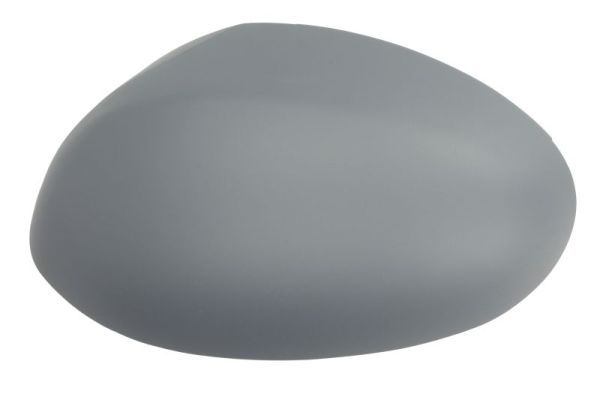 BLIC 6103-01-1311857P Housing, exterior mirror