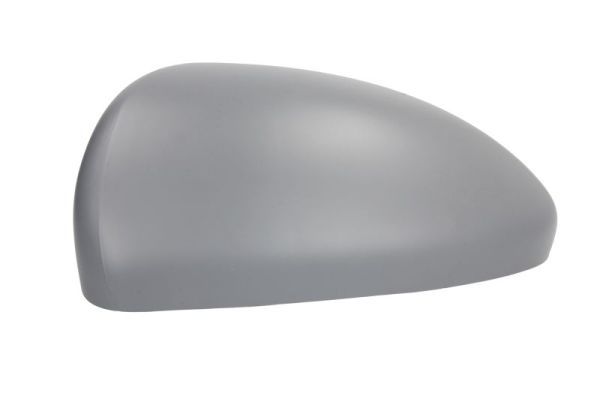 BLIC 6103-56-009353P Housing, exterior mirror