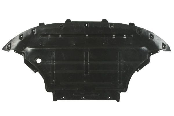 BLIC 6601-02-0035861P Engine Guard/Skid Plate