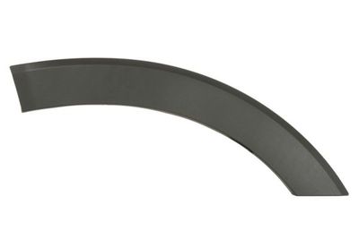 Trim/Protection Strip, door BLIC 6601-02-2518424P