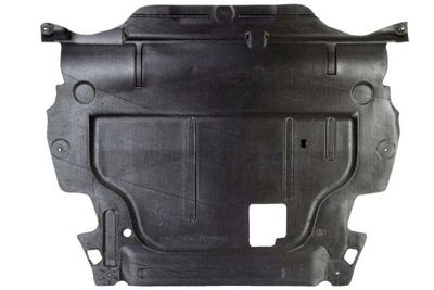 Engine Cover BLIC 6601-02-2556860P