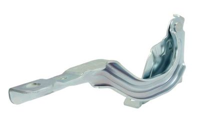 Hinge, bonnet BLIC 6802-00-3281452P