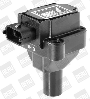 BorgWarner (BERU) ZS030 Ignition Coil