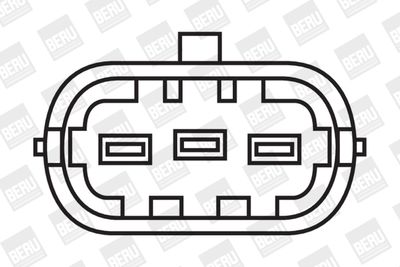 Ignition Coil BorgWarner (BERU) ZS031