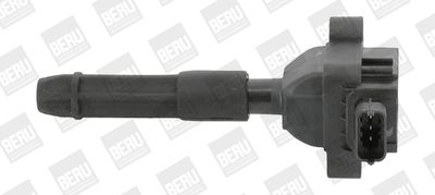 Ignition Coil BorgWarner (BERU) ZS041