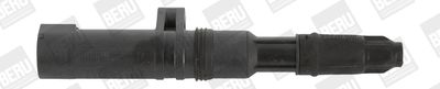 Ignition Coil BorgWarner (BERU) ZS052