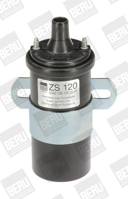 Ignition Coil BorgWarner (BERU) ZS120