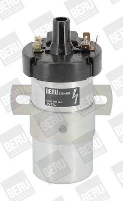 BorgWarner (BERU) ZS124 Ignition Coil