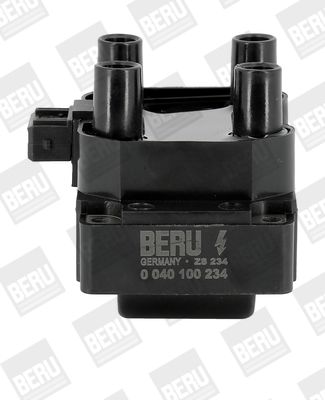 Ignition Coil BorgWarner (BERU) ZS234