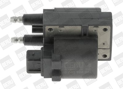 Ignition Coil BorgWarner (BERU) ZS245