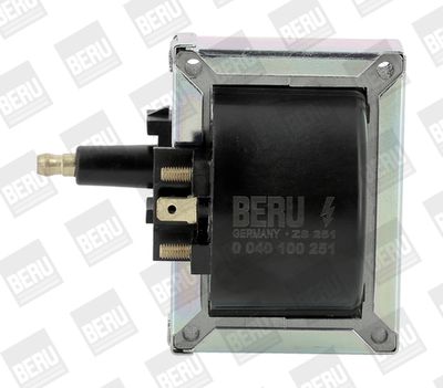 Ignition Coil BorgWarner (BERU) ZS251