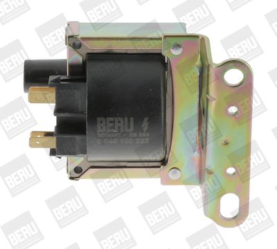Ignition Coil BorgWarner (BERU) ZS253