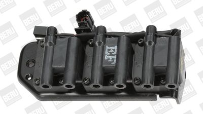 Ignition Coil BorgWarner (BERU) ZS269