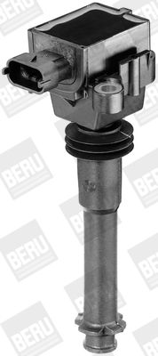 Ignition Coil BorgWarner (BERU) ZS311