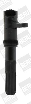 Ignition Coil BorgWarner (BERU) ZS321