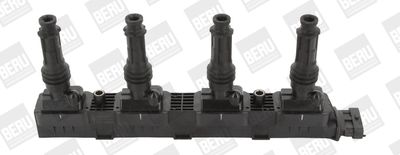 Ignition Coil BorgWarner (BERU) ZS338