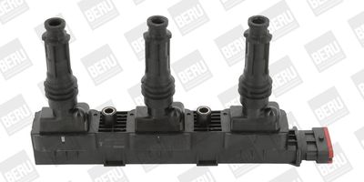 Ignition Coil BorgWarner (BERU) ZS358