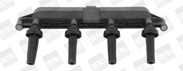 BorgWarner (BERU) ZS381 Ignition Coil