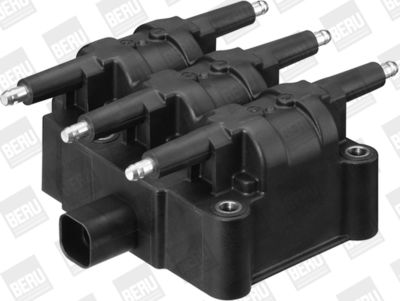 Ignition Coil BorgWarner (BERU) ZS407