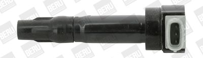 Ignition Coil BorgWarner (BERU) ZS547