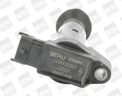 Ignition Coil BorgWarner (BERU) ZS557