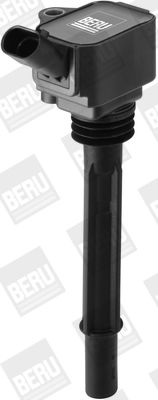 Ignition Coil BorgWarner (BERU) ZS588