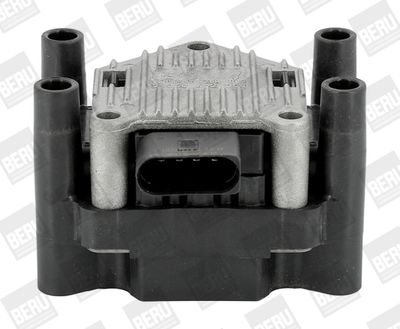 Ignition Coil BorgWarner (BERU) ZSE003