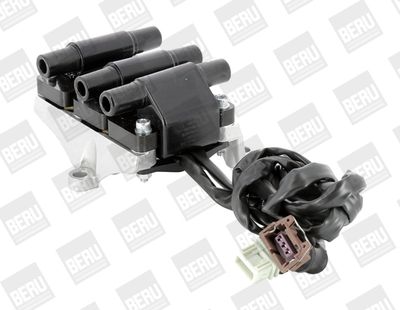 Ignition Coil BorgWarner (BERU) ZSE007