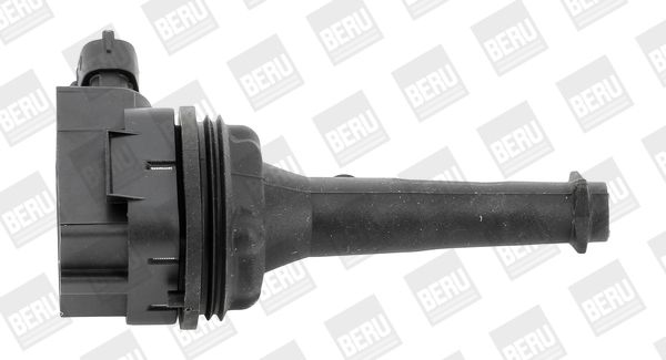 BorgWarner (BERU) ZSE019 Ignition Coil