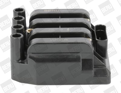 Ignition Coil BorgWarner (BERU) ZSE029