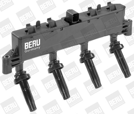 BorgWarner (BERU) ZSE048 Ignition Coil