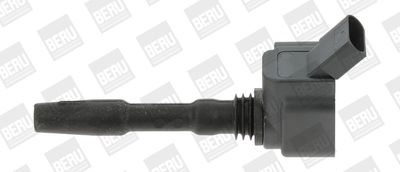 Ignition Coil BorgWarner (BERU) ZSE137