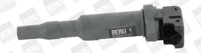 Ignition Coil BorgWarner (BERU) ZSE145