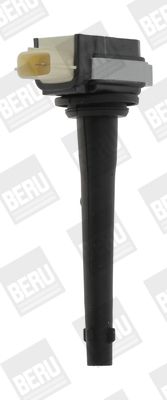 BorgWarner (BERU) ZSE161 Ignition Coil