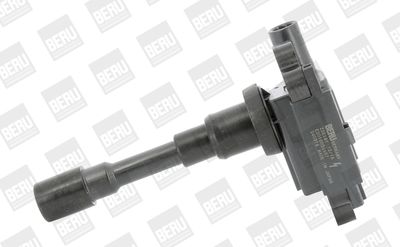 Ignition Coil BorgWarner (BERU) ZSE181