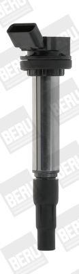 Ignition Coil BorgWarner (BERU) ZSE184