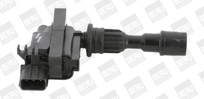 Ignition Coil BorgWarner (BERU) ZSE190