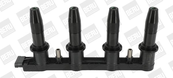 BorgWarner (BERU) ZSE199 Ignition Coil