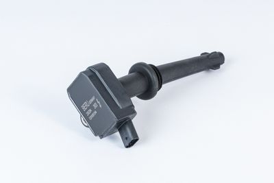 Ignition Coil BorgWarner (BERU) ZSE204