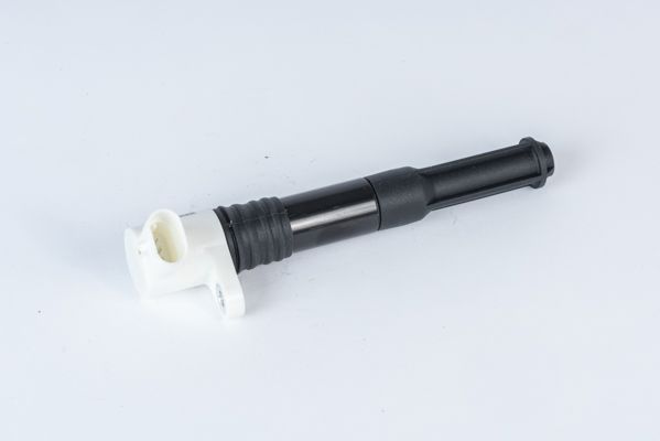 BorgWarner (BERU) ZSE219 Ignition Coil