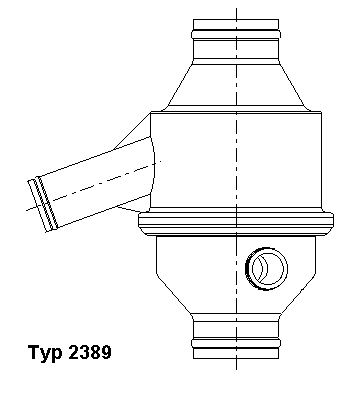 Thermostat, coolant BorgWarner (Wahler) 2389.75/1