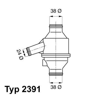 Thermostat, coolant BorgWarner (Wahler) 2391.75