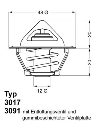 Thermostat, coolant BorgWarner (Wahler) 3017.87D2