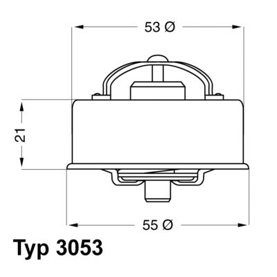 BorgWarner (Wahler) 3053.75 Thermostat, coolant