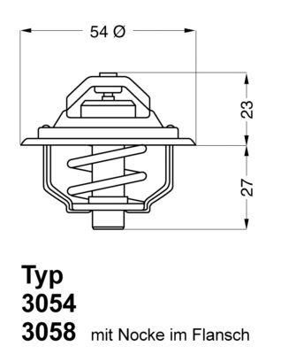 Thermostat, coolant BorgWarner (Wahler) 3054.87D50