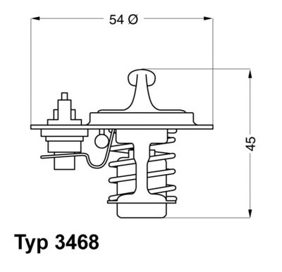 Thermostat, coolant BorgWarner (Wahler) 3468.88D